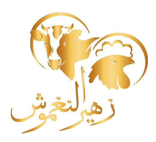 زهير النغموش
